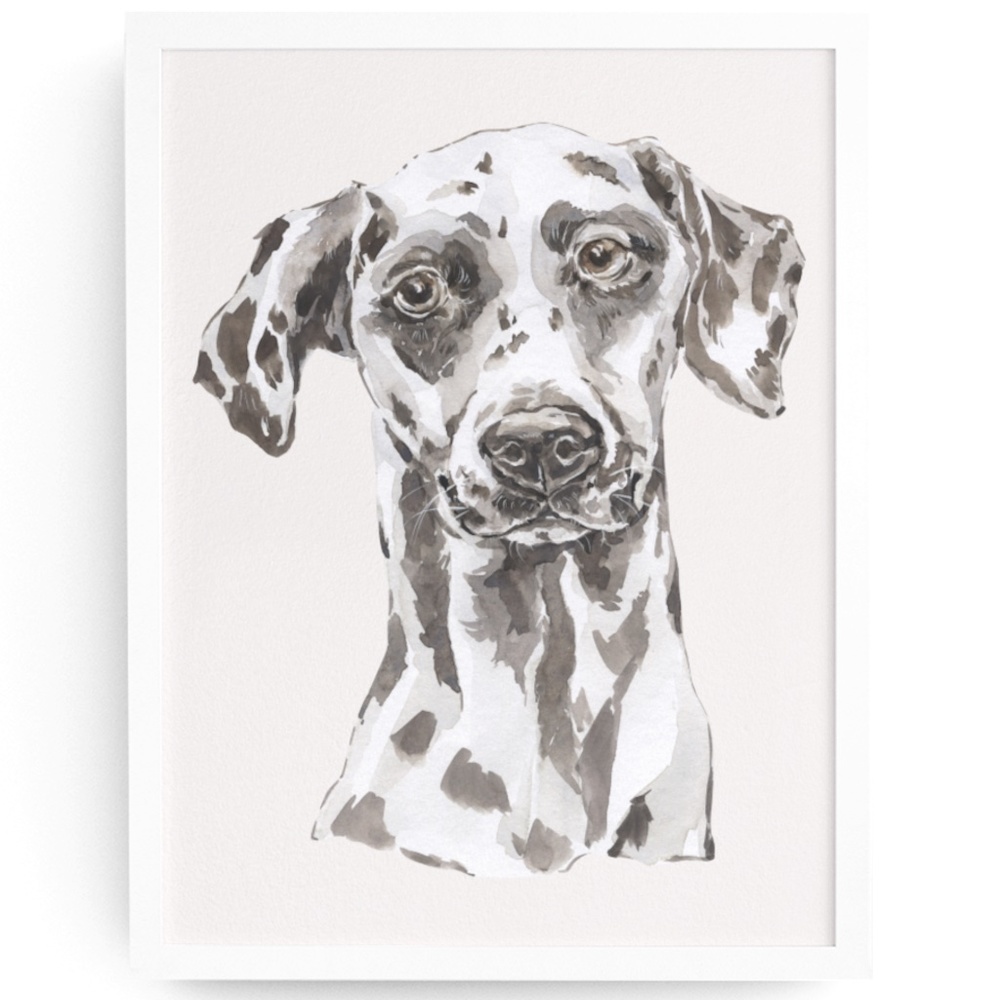 Watercolor Dalmatian Black Dog Wall Art Illustration Print Poster Card Unframed - Picture 2 of 7